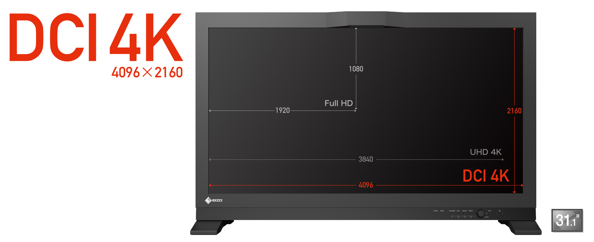EIZO ColorEdge PROMINENCE CG3146